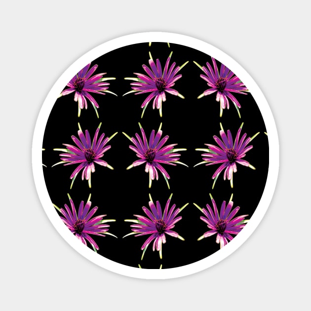 Purple Flower Pattern - Wild Salsify on Black Magnet by sleepingdogprod